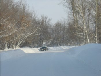 Своевременно отреагировать