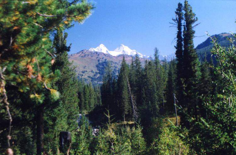 Белуха