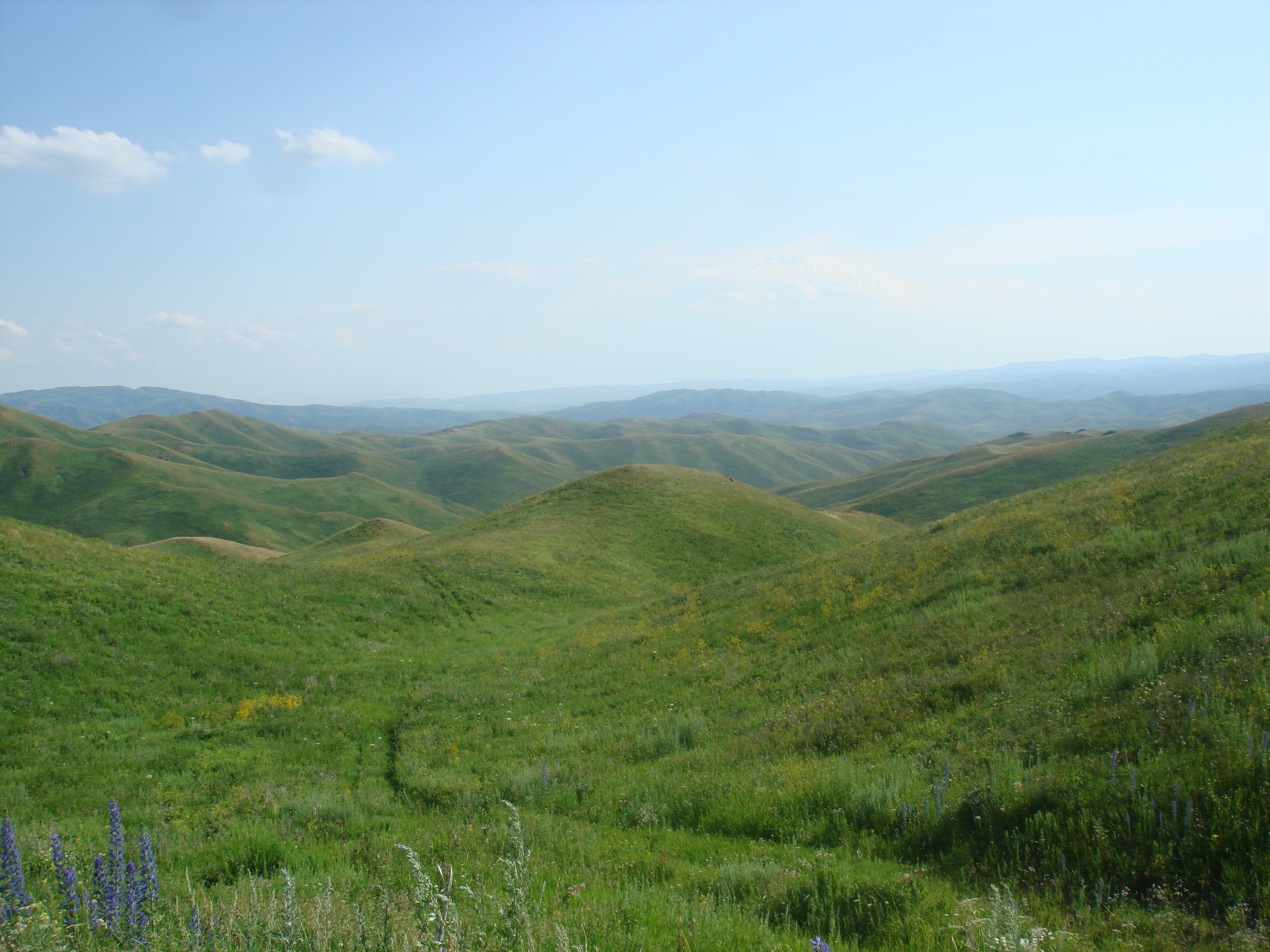 по дороге в Курчум